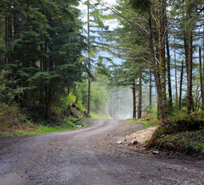 improving forested road systems