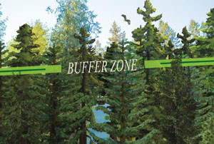Buffer zone