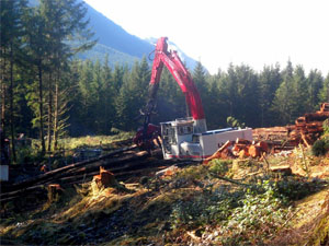 Western WA timber harvest operation